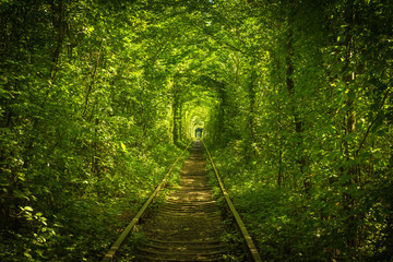 Fototapeta premium stary las i tunel kolejowy miłości