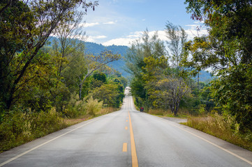 Road through the hills in the Thai Khlong Yai province, Thailand.