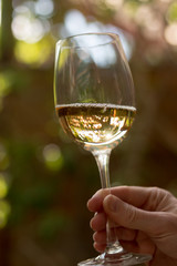 Weinglas, erfrischender Weißwein, gehalten in Frauenhand, Abendsonne