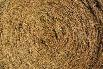 Macro shot on hay ball .