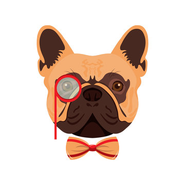 Vector illustration of a funny fashionable pug with a bow and monocle.