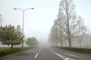 滋賀　烏丸半島