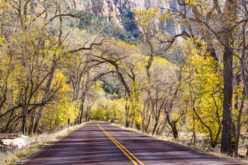 Obraz premium Autumn road