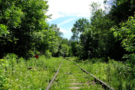 Old railroad in the riot of greenery