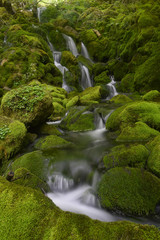 La Tober&iacute;a - 77