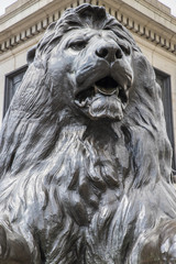 Trafalgar Square Lion in London
