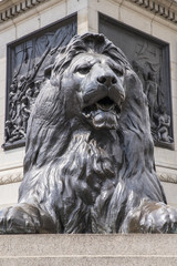 Lion Statue in Trafalgar Square