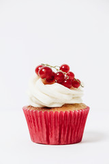 Cupcake 4