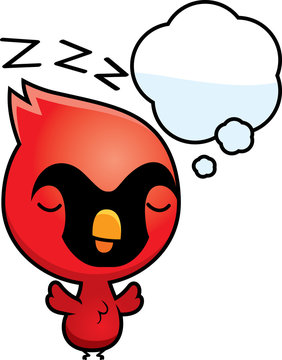 Cartoon Baby Cardinal Dreaming