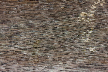 Fototapeta premium Texture of wood