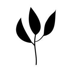leaf plant decorative icon vector illustration design