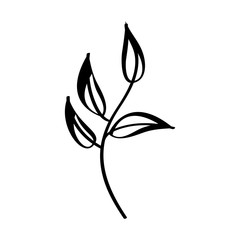 leaf plant decorative icon vector illustration design
