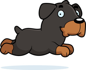 Cartoon Rottweiler Running