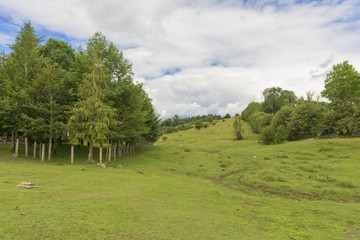Fototapeta na wymiar Natural park of Urbasa and andia in Navarra