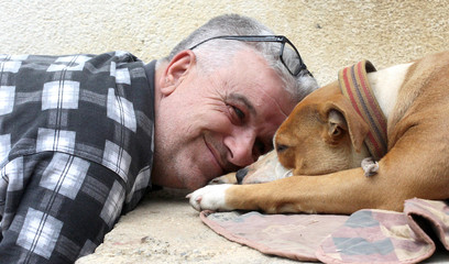 man loving american staffordshire terrier dog