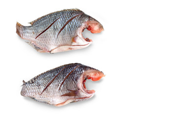 Two Nile Tilapia raw fish isolate and clipping paths