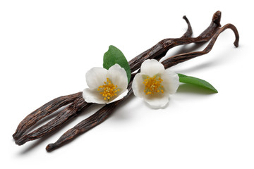 Dried vanilla pods with jasmine flower
