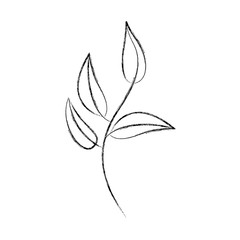 leaf plant decorative icon vector illustration design
