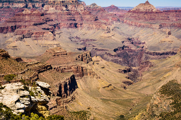 Watching Grand Canyon