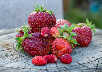 The harvest of red ripe garden berries strawberries in the sun on old wooden board, vintage, closeup, side view