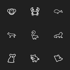 Naklejka na ściany i meble Set Of 9 Editable Zoo Icons. Includes Symbols Such As Polar, Cachalot, Smelly Animal And More. Can Be Used For Web, Mobile, UI And Infographic Design.