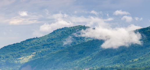 Ukrainian carpathian mountaine landscape with fog