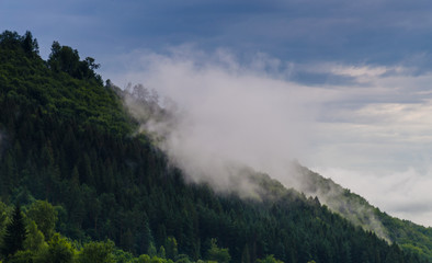 Ukrainian carpathian mountaine landscape with fog