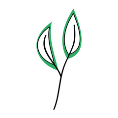 Obraz premium leaf plant decorative icon vector illustration design
