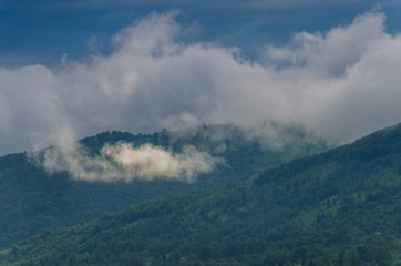 Ukrainian carpathian mountaine landscape with fog