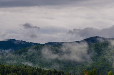 Ukrainian carpathian mountaine landscape with fog