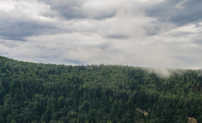 Ukrainian carpathian mountaine landscape with fog