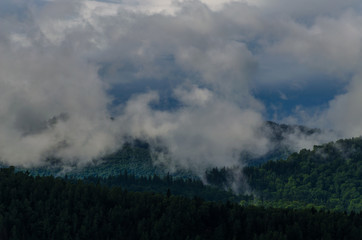 Obraz na płótnie Canvas Ukrainian carpathian mountaine landscape with fog