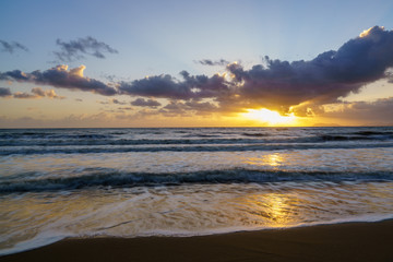Fototapeta na wymiar Palm Cove Beach Sunrise