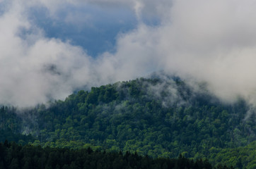 Ukrainian carpathian mountaine landscape with fog