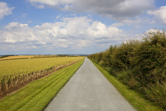 farm road and scenery
