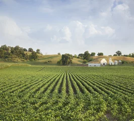 Papier Peint photo Campagne Midwestern Soybean field and farm hills