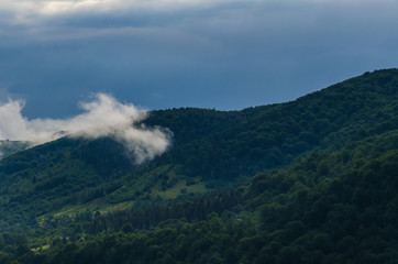 Ukrainian carpathian mountaine landscape with fog