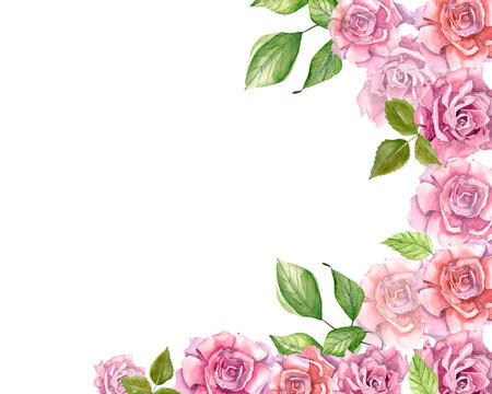 Pink Roses With Leaves Painted In Watercolor Frame