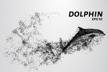 Fototapeta na wymiar Dolphin of the particles. The Dolphin consists of circles and points. Vector illustration.