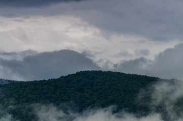Ukrainian carpathian mountaine landscape with fog