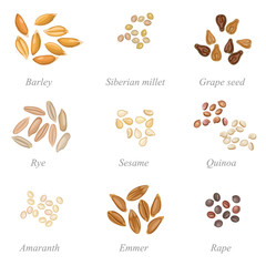 Icon set of cereal grains part two / Solid fill set of cereal grains and oilseeds
