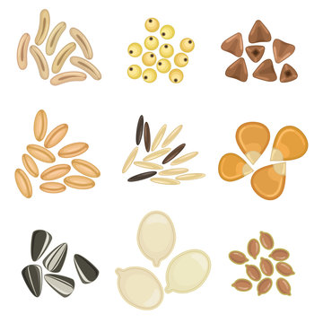 Cereal grains icon set / Solid fill set of cereal grains and oilseeds