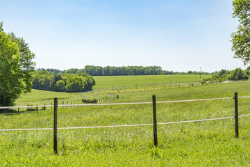 Fototapeta premium idyllic spring time scenery