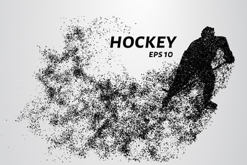 Fototapeta na wymiar Hockey from the particles. Hockey breaks down into small molecules. Vector illustration
