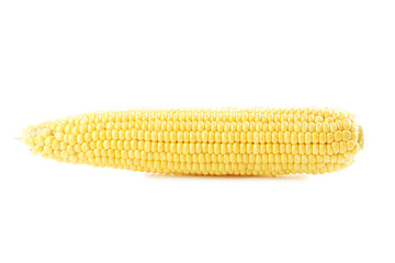 Sweet corn isolated on a white