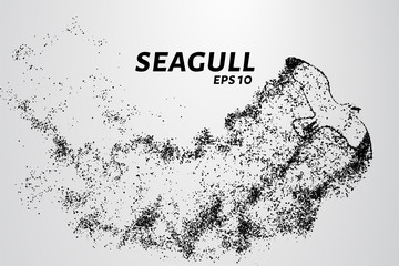 Seagull of the particles. Seagull consists of small circles and dots. Vector illustration.
