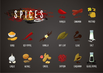 Spices and seasoning. Cooking ingredients. Culinary collection. Isolated icons set
