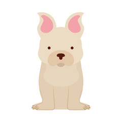 Obraz na płótnie Canvas cute dog mascot icon vector illustration design