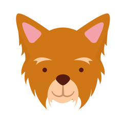 cute dog mascot icon vector illustration design