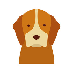 cute dog mascot icon vector illustration design